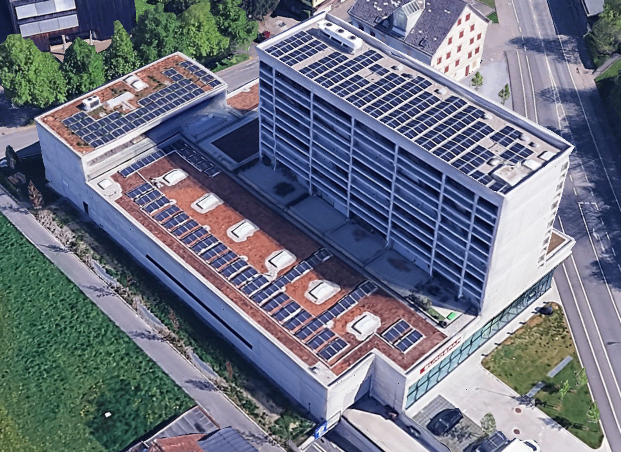 ES-Dornbirn-Rose_6