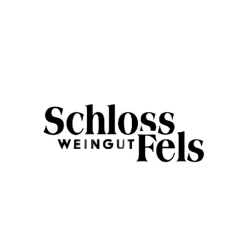 placon_schloss-fels_logo